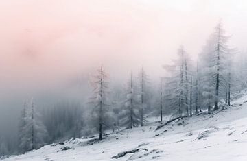 Betoverend bos in de mist van fernlichtsicht