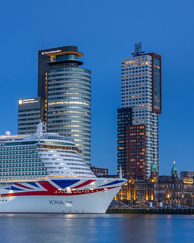 Skyline Rotterdam kop van zuid met cruiseschip