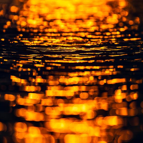 Black and Gold III by Daniela Beyer