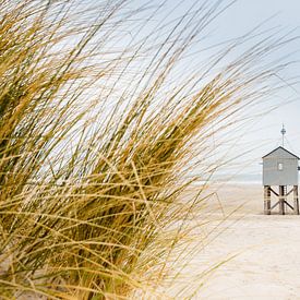 Maison de la noyade Terschelling Dunes de l'île des Wadden sur Terschelling in beeld