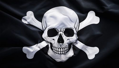 Skull in black and white