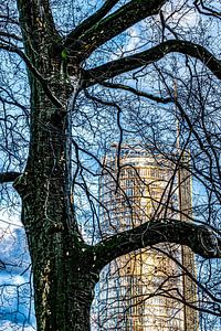 Hochhausturm hinter Baum