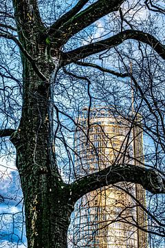 Hoogbouwtoren achter boom van Dieter Walther