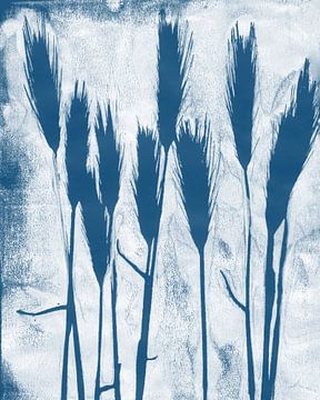 Grassprieten in blauw en wit. Moderne botanische minimalistische kunst.