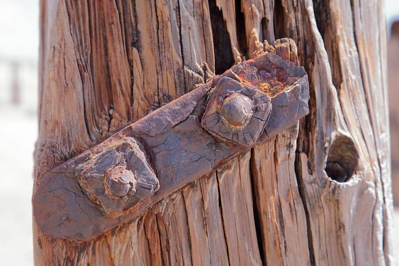 Rusty nuts by Ralph Jongejan