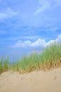 Zomer in de duinen bij het Noordzee strand van Sjoerd van der Wal thumbnail