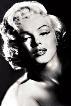 Marilyn Monroe van Brian Morgan