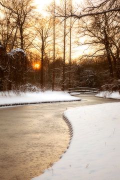 Nederland winter in park, Rijswijk van Ariadna de Raadt-Goldberg