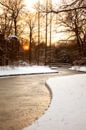 Nederland winter in park, Rijswijk van Ariadna de Raadt-Goldberg thumbnail
