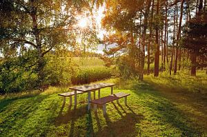 Picknicktafel van Bo Valentino