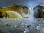 Waterval met een regenboog in IJsland van Ellen van den Doel thumbnail