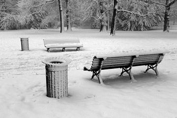 Twee houten banken in de sneeuw, zwartwit foto van Maarten Pietersma