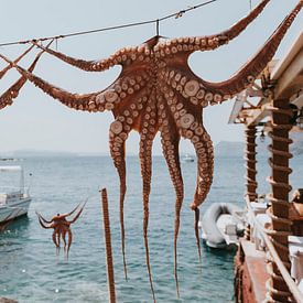 Trocknen von Tintenfisch in der Amoudi Bay, Santorini Griechenland von Manon Visser