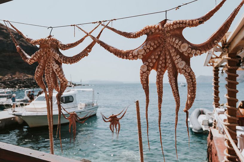 Calmar séchant dans la baie d'Amoudi, Santorin Grèce par Manon Visser