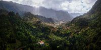 Groene bergen van Madeira (1) van Luc van der Krabben thumbnail