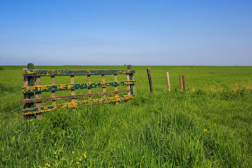 Zaun und Wiese von Frank Herrmann