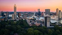 Summer evening Erasmus Bridge by Paul Poot thumbnail