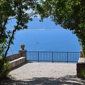 Trsteno, Kroatien von Jarne Buttiens