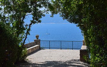 Trsteno, Croatie sur Jarne Buttiens