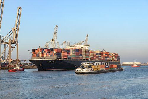 Container schip aangemeerd in de haven van Rotterdam op de Maasvlakte