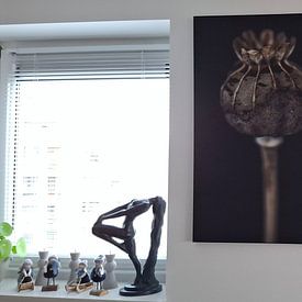 Customer photo: Dry Flowers No 3 by Treechild, on ArtFrame