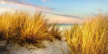 Duinen op het strand van Voss fotografie