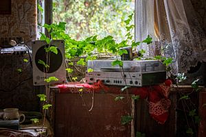 Lost Place - was bleibt wenn der Mensch geht - zurückgelassen