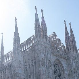 Duomo di Milano van Whitney van Schyndel