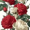 Elegante rozen in rood en wit van Pixelbull Design