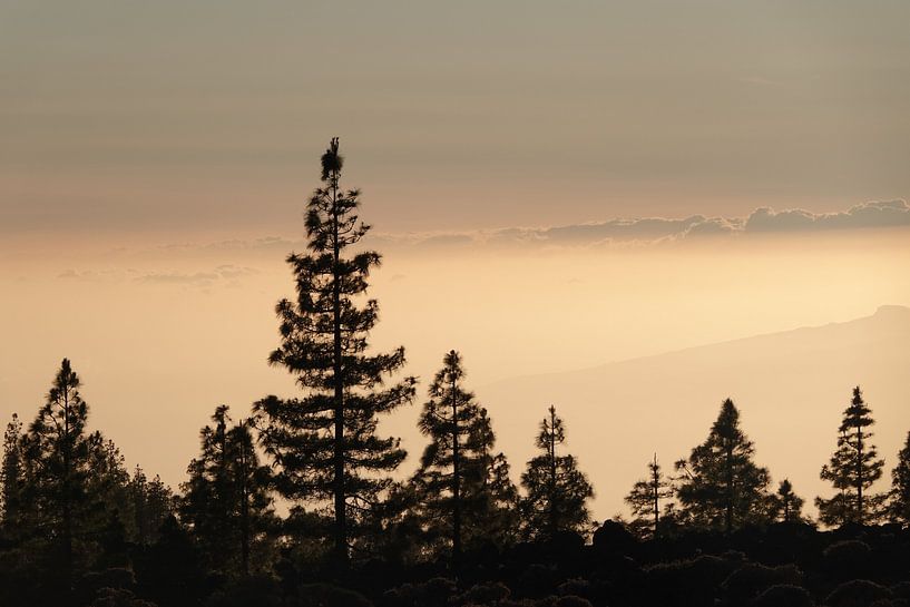 Monde de rêve sur le Teide par Marianne van den Bogaerdt