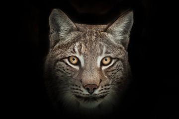 portret van een wilde kattenlynx van Michael Semenov