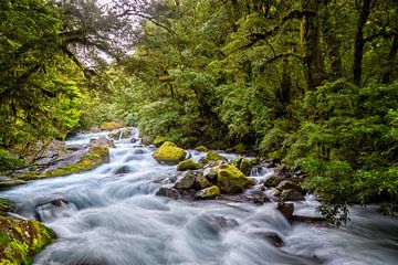 Mystical river by Jasper den Boer