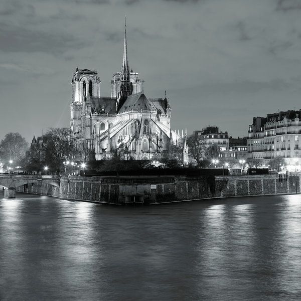 Notre Dame by night, Paris by Markus Lange