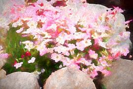 Rock Garden by Andreas Wemmje