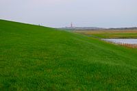 Groene, met gras bedekte dijk op Texel met rode vuurtoren in de verte