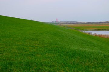 Groene, met gras bedekte dijk op Texel met rode vuurtoren in de verte van Studio LE-gals