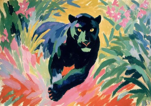 Zwarte panter in de jungle