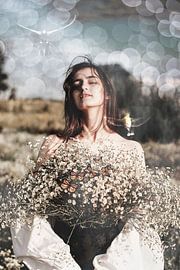 Glimps of the sun by Peter van der Vaart