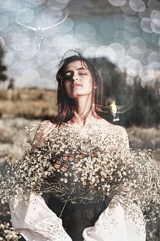 Blicke auf die Sonne