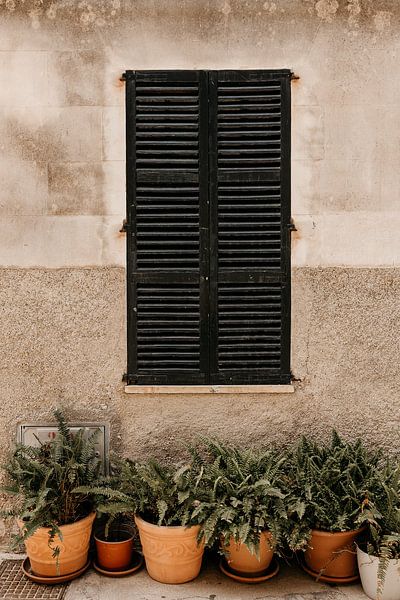"Mediterranean Facade with Black Shutters and Terracotta Flower Pots", Summer Vibes. by Funky Lemons