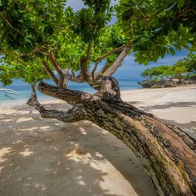 Paradise by Bram de Jong