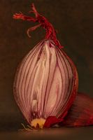 Red onion in layers