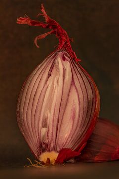 Red onion in layers by marijke dijk