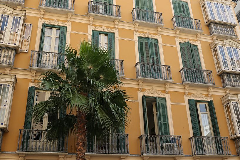 gebouw met palm in malaga van Frans Versteden