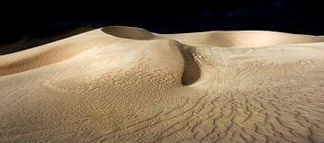 The dunes of Esperance, Western Australia by Hilke Maunder