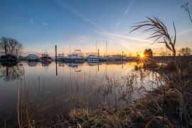 Zonsopkomst haven van Moetwil en van Dijk - Fotografie