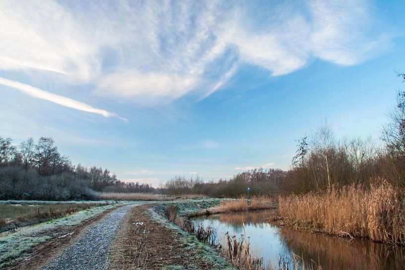 Dommel van Jasper Scheffers