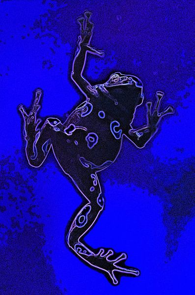 Blue Frog van De Rover
