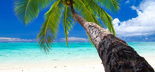 Amuri Beach, Aitutaki - Cook Islands