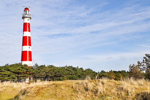 Het Amelandse landschap met uitzicht op de vuurtoren